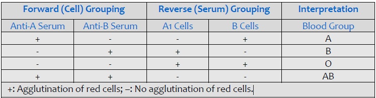 Interpretation of forward cell and reverse serum grouping