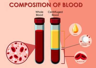 COMPOSITION OF BLOOD